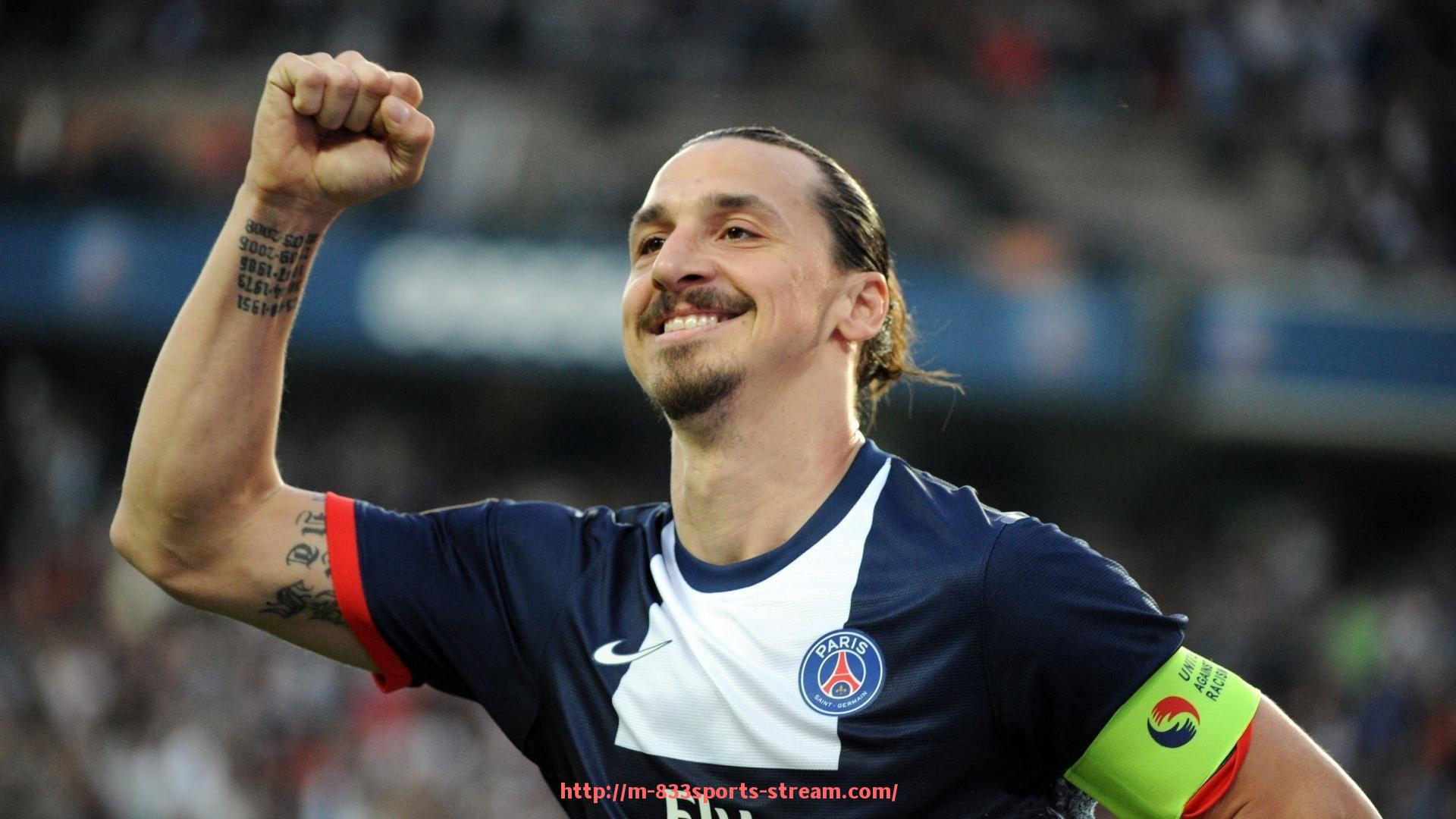 833体育直播-国内外健身器材企业排名及市场竞争分析